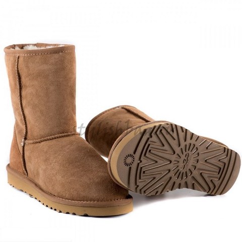 Женские угги UGG Women's Short Chestnut
