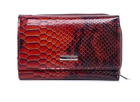 Женское портмоне Nina Farmina F026M Brown